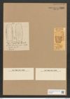 Amphora nobilis Greg. (de-Toni-Nr.: Genus 36, Species 1515) Zeichnungen Sammlung Grunow Nr. 2935 (NHMW-BOT-W0370283)